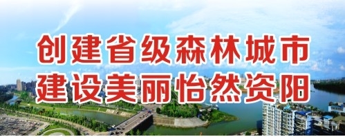 肏嫩屄高清视频创建省级森林城市 建设美丽怡然资阳